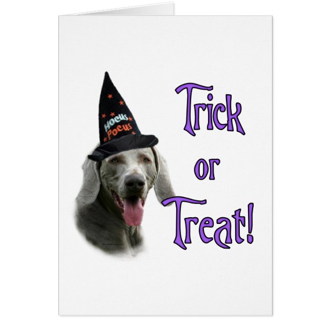Weimaraner Trick (Frente)