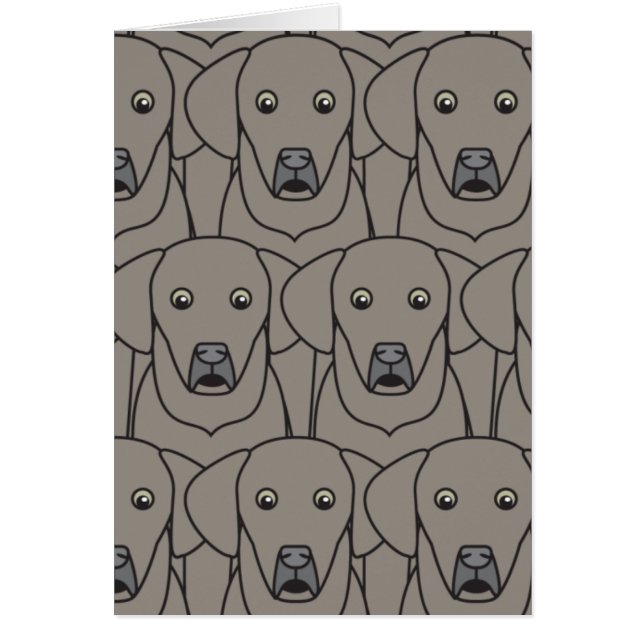Weimaraners (Frente)