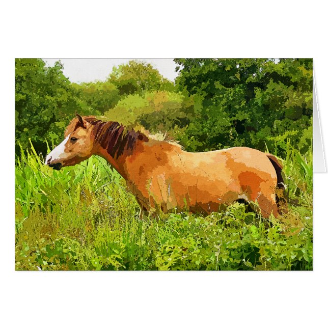 WELSH MOUNTAIN PONY Card (Anverso (Horizontal))