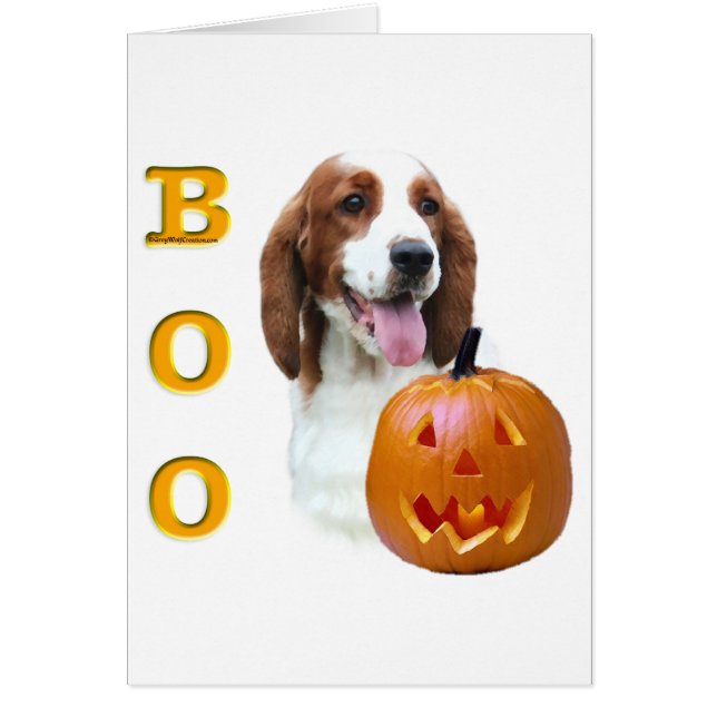 Welsh Springer Spaniel Boo (Frente)