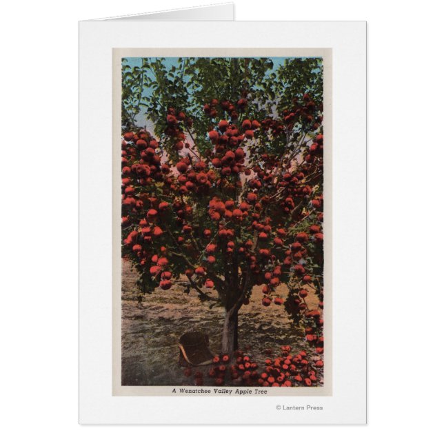 Wenatchee, WAA Wenatchee Valley Apple Tree (Frente)
