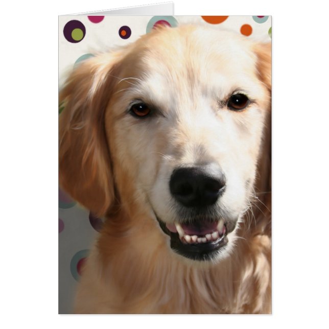Wendy the Golden Retriever (Frente)