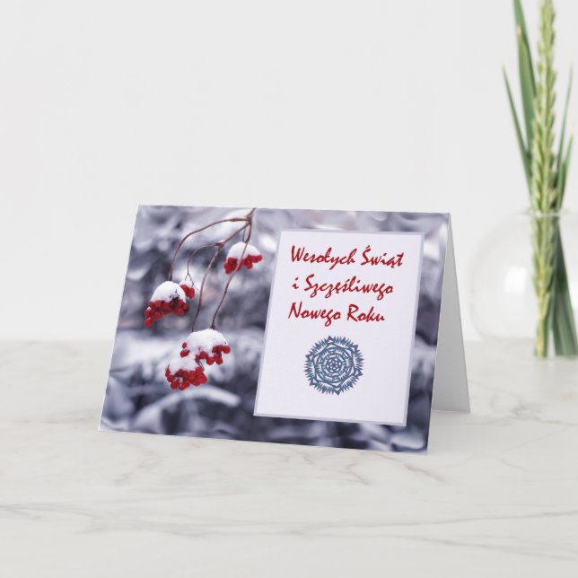 Wesolych Swiat, Felices Navidad en polaco, (Anverso)