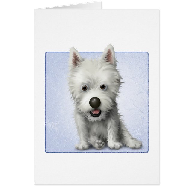 West Highland Terrier (Frente)