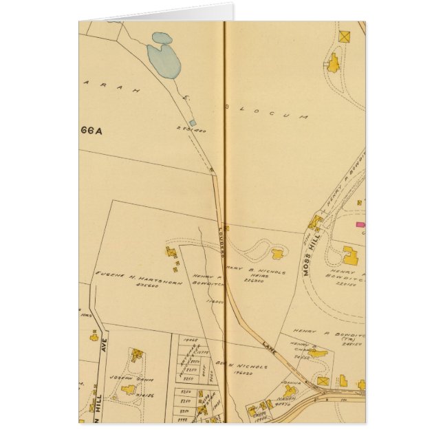 West Roxbury, Massachusetts 6 (Frente)