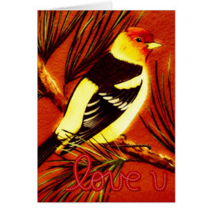 Western Love Tanager