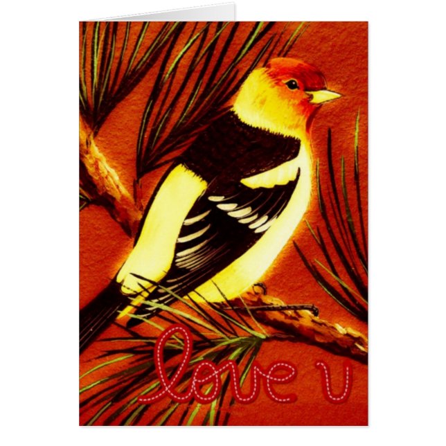 Western Love Tanager (Frente)