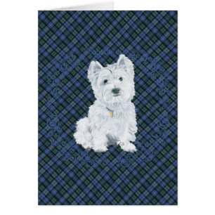 Westie Black Watch Tartán