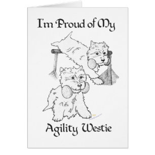 Westie de Agilidad