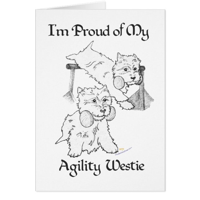 Westie de Agilidad (Frente)