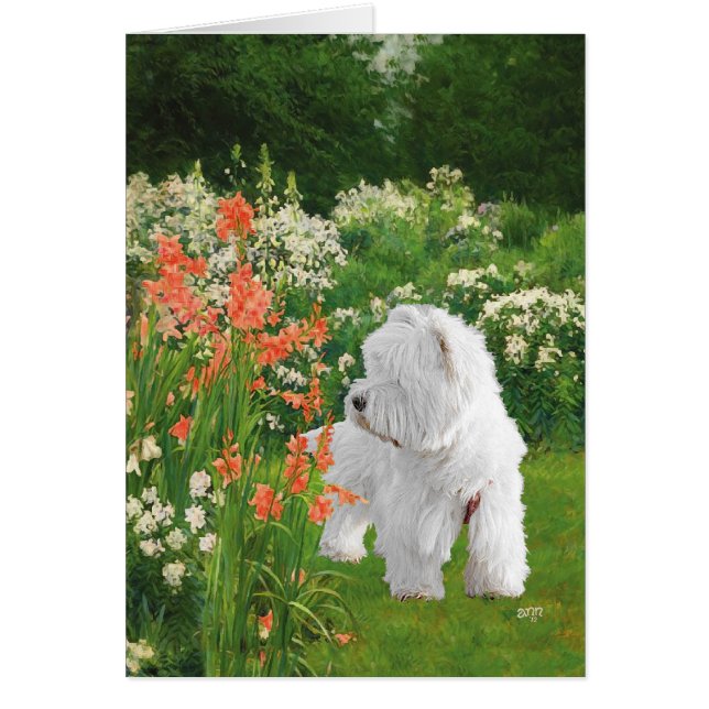 Westie en el Jardín (Frente)