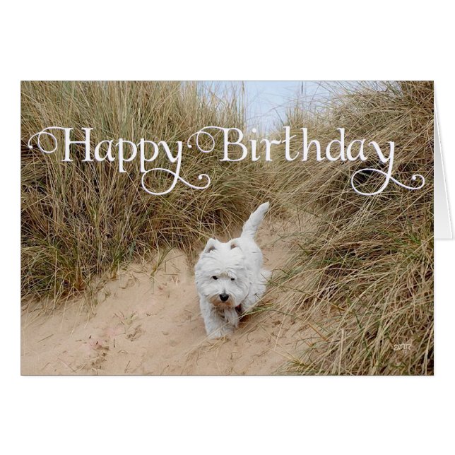 Westie en las dunas de arena (Anverso (Horizontal))