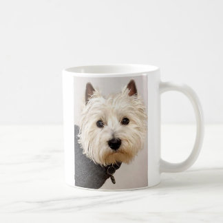 Westie en suéter en una taza