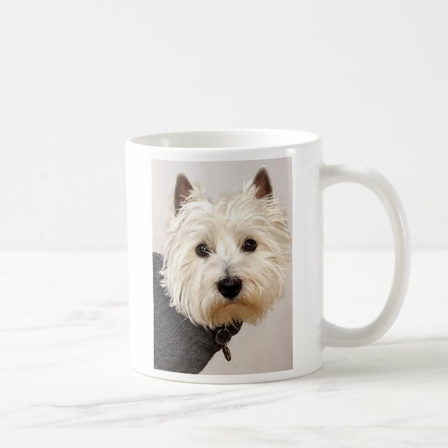 Westie en suéter en una taza (Derecha)