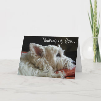 Westie que piensa en usted tarjeta de felicitación