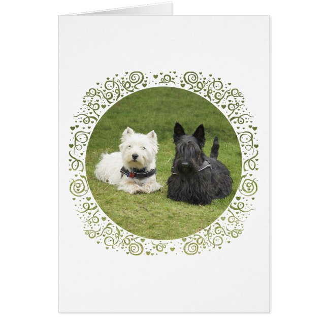 Westie y Scottie Césped Verde (Frente)