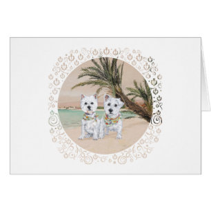 Westies en una playa de Palmeras