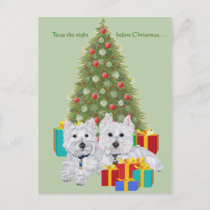 Westies junto al árbol de Navidad