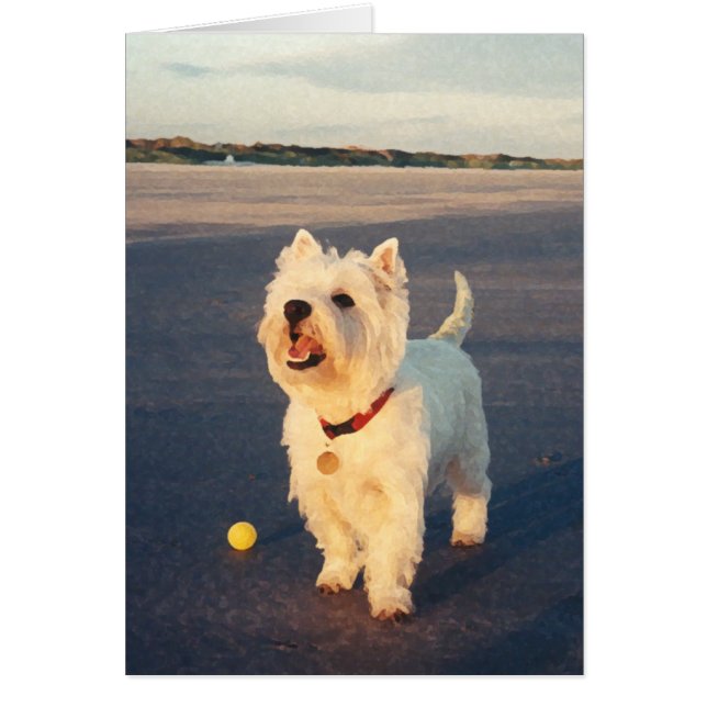 Westies y el Océano (Frente)