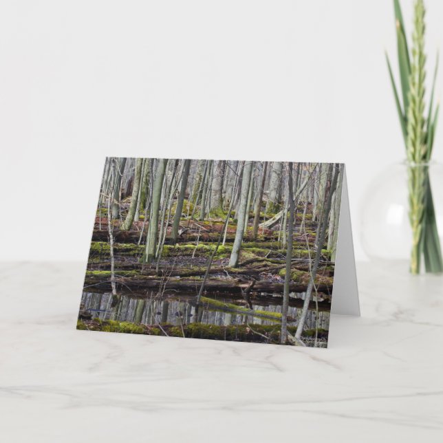 Wet Woodlands 7 x 5 Tarjeta de felicitación plegad (Anverso)