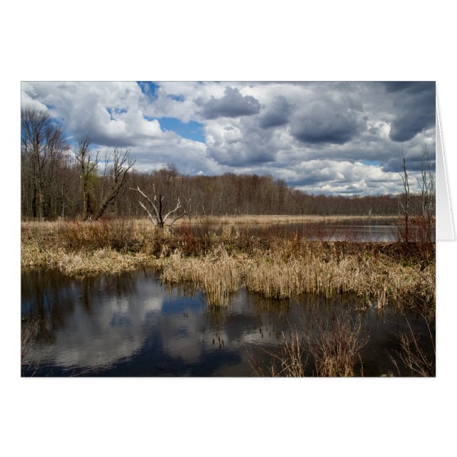 Wetland Cloudscape (Anverso (Horizontal))