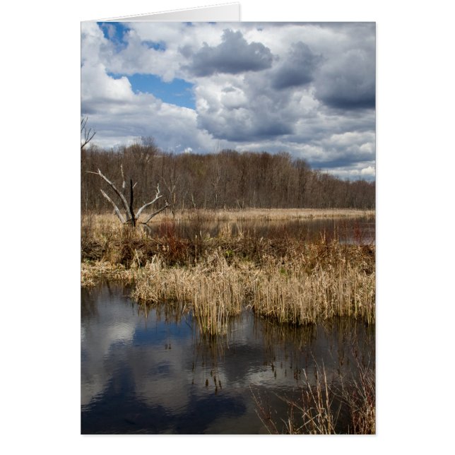 Wetland Cloudscape Vertical (Frente)