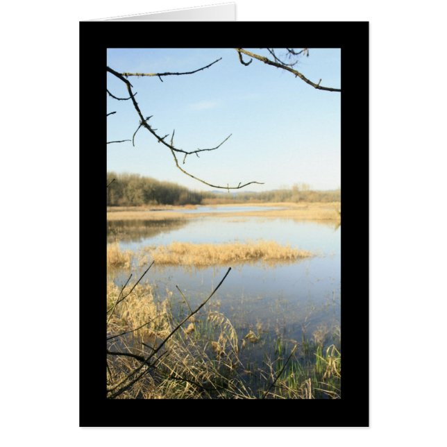 Wetland Wonderland (Frente)