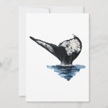 Whale Tail