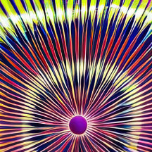 Wham-O Ultimate UPA Aprobado 175g Frisbee Flying D