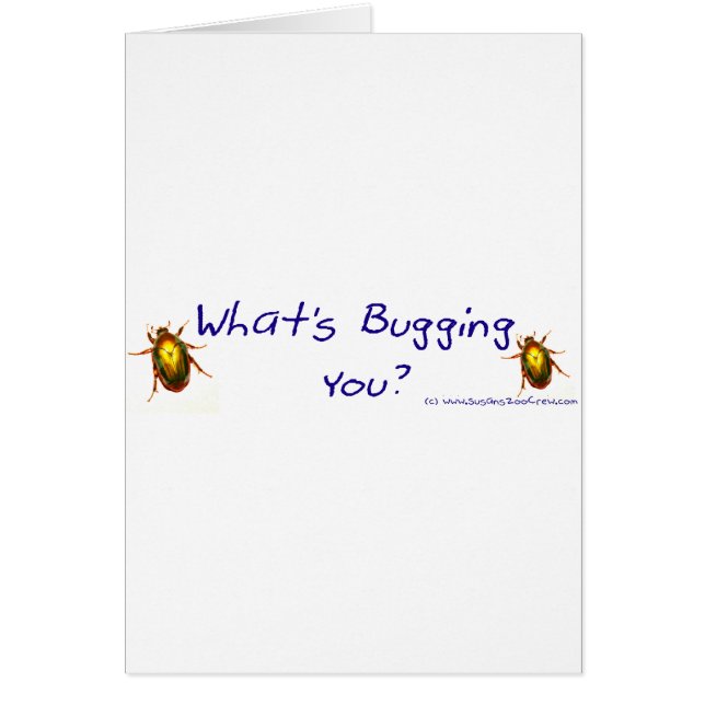 WhatsBuggingYouBumperSticker (Frente)