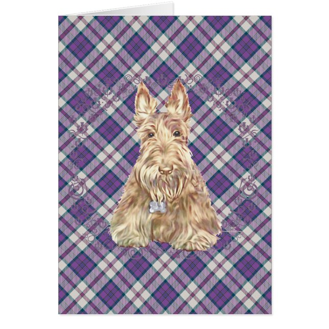 Wheaten Scottie Tartan (Frente)