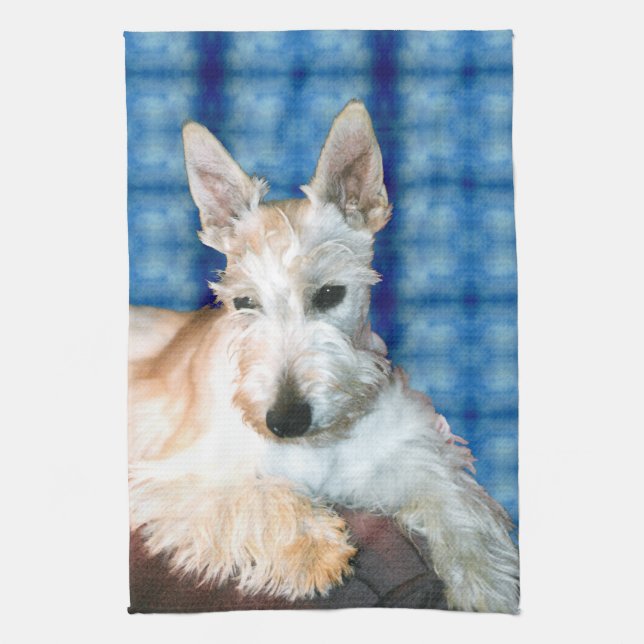 Wheaten Scottie Terrier Kitchen Toalla (Vertical)