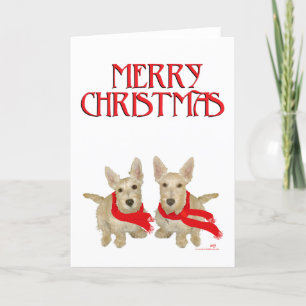 Wheaten Scottish Terrier Navidad