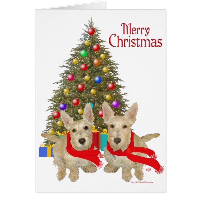 Wheaten Scottish Terrier Navidad (Frente)