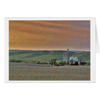 Wheatfields