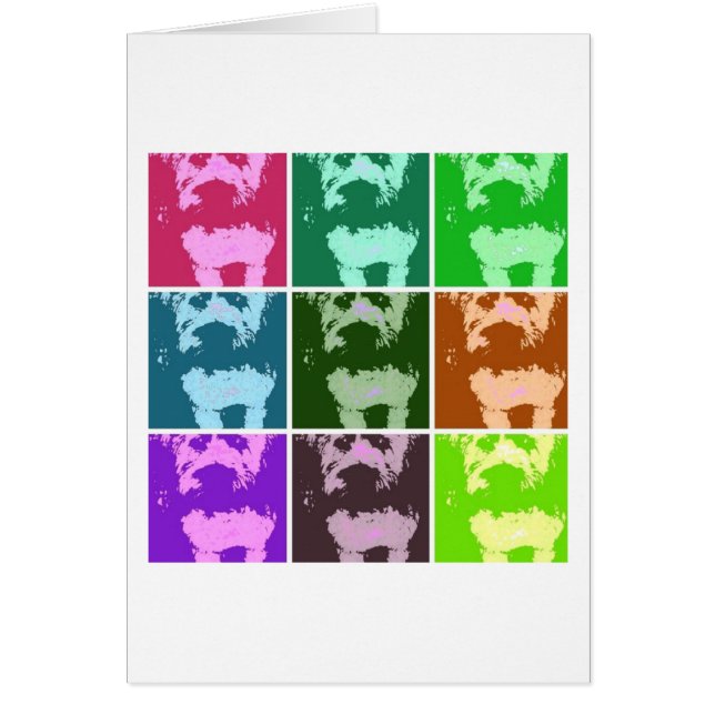 Wheaton Terrier (Frente)