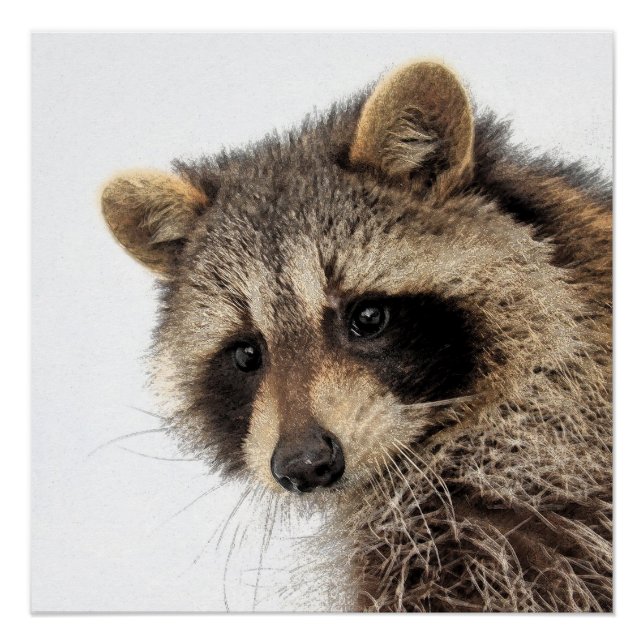 Whimsical Raccoon Glossy Poster (Anverso)