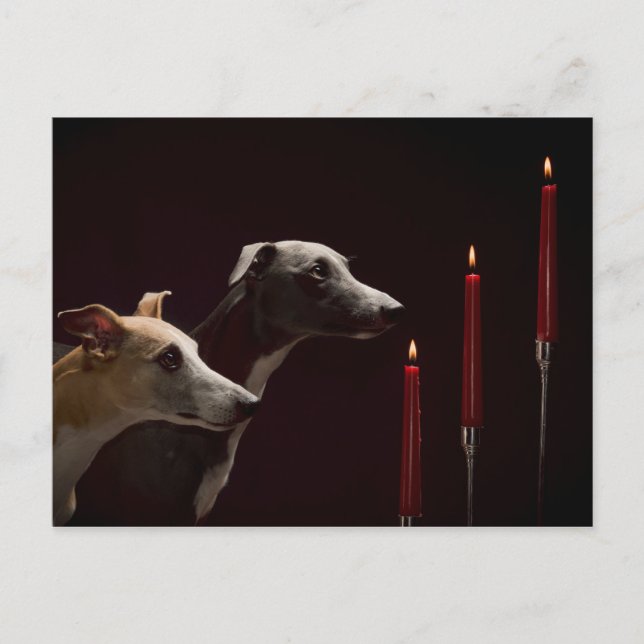 Whippets en el navidad (Anverso)