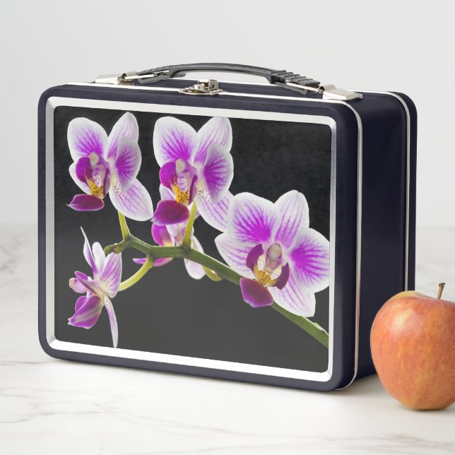 White and purple orchid (In situ)