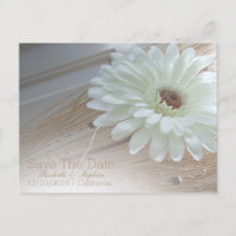 White Daisy Guardar Las Invitaciones Del Boda De F