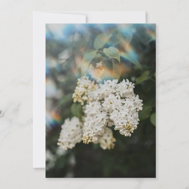 White Lilac Flowers with Rainbow Flare card (Anverso)