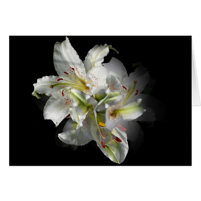 White Lilies Fantasy (Anverso (Horizontal))