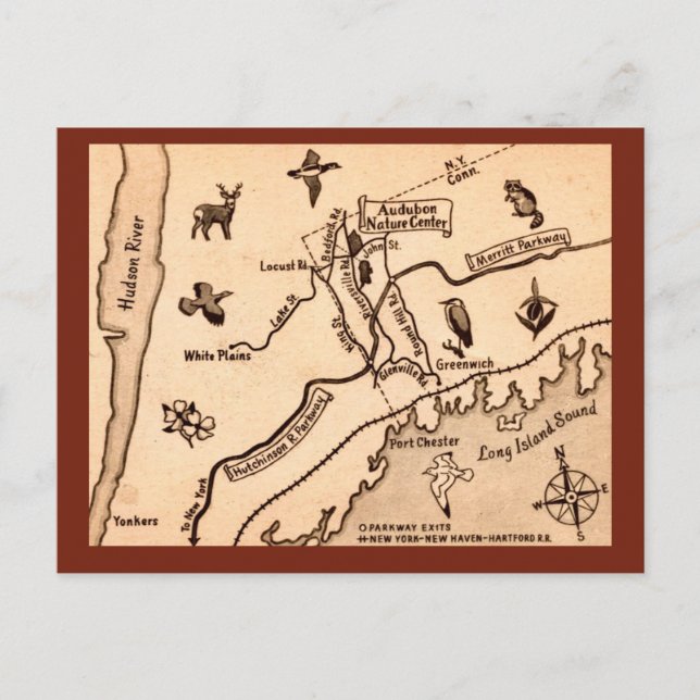 White Plains NY Tarjeta Postal Antigua  (Anverso)