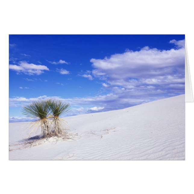 White Sands NM, Nuevo México, Estados Unidos (Anverso (Horizontal))