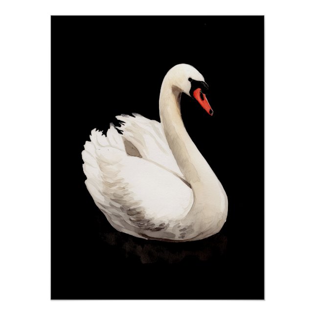 White Swan Vintage Art Poster (Anverso)