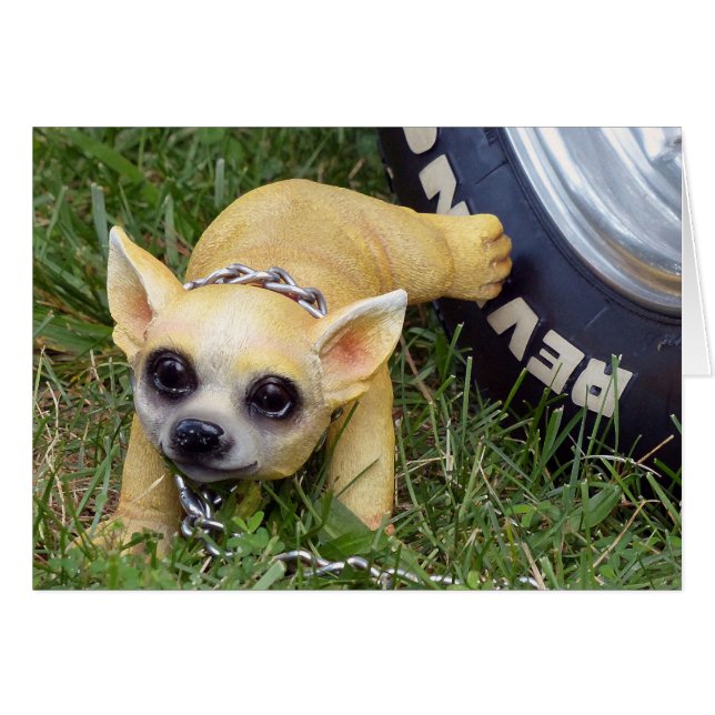 Whiz Kid (Anverso (Horizontal))