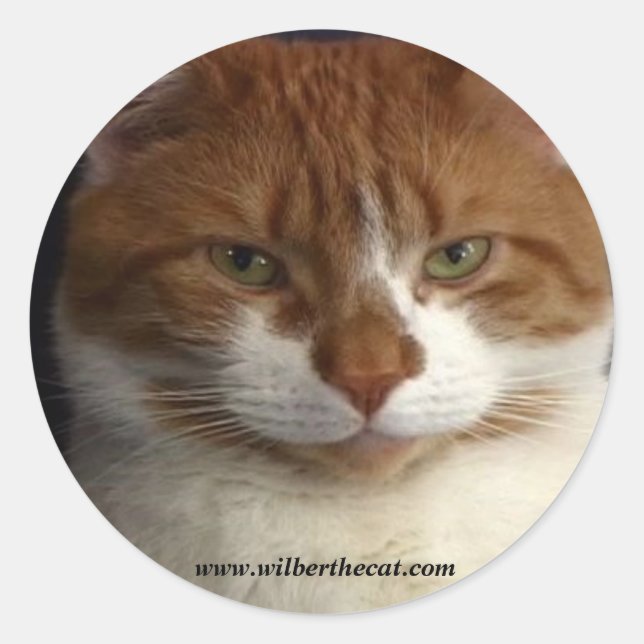 Wilber Pegatina (Anverso)