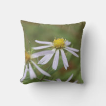 Wild Aster al aire libre con almohada