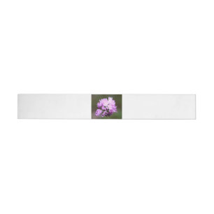 Wild Flower