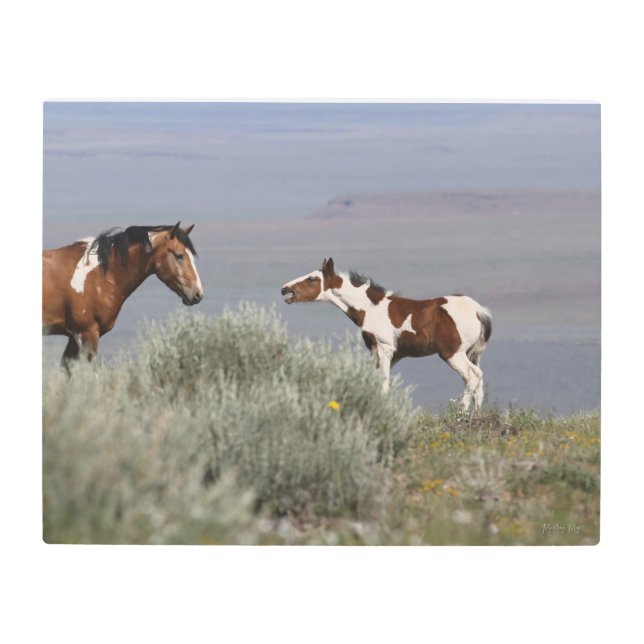 Wild Foal Arte Metalizado 16x20 (Anverso)